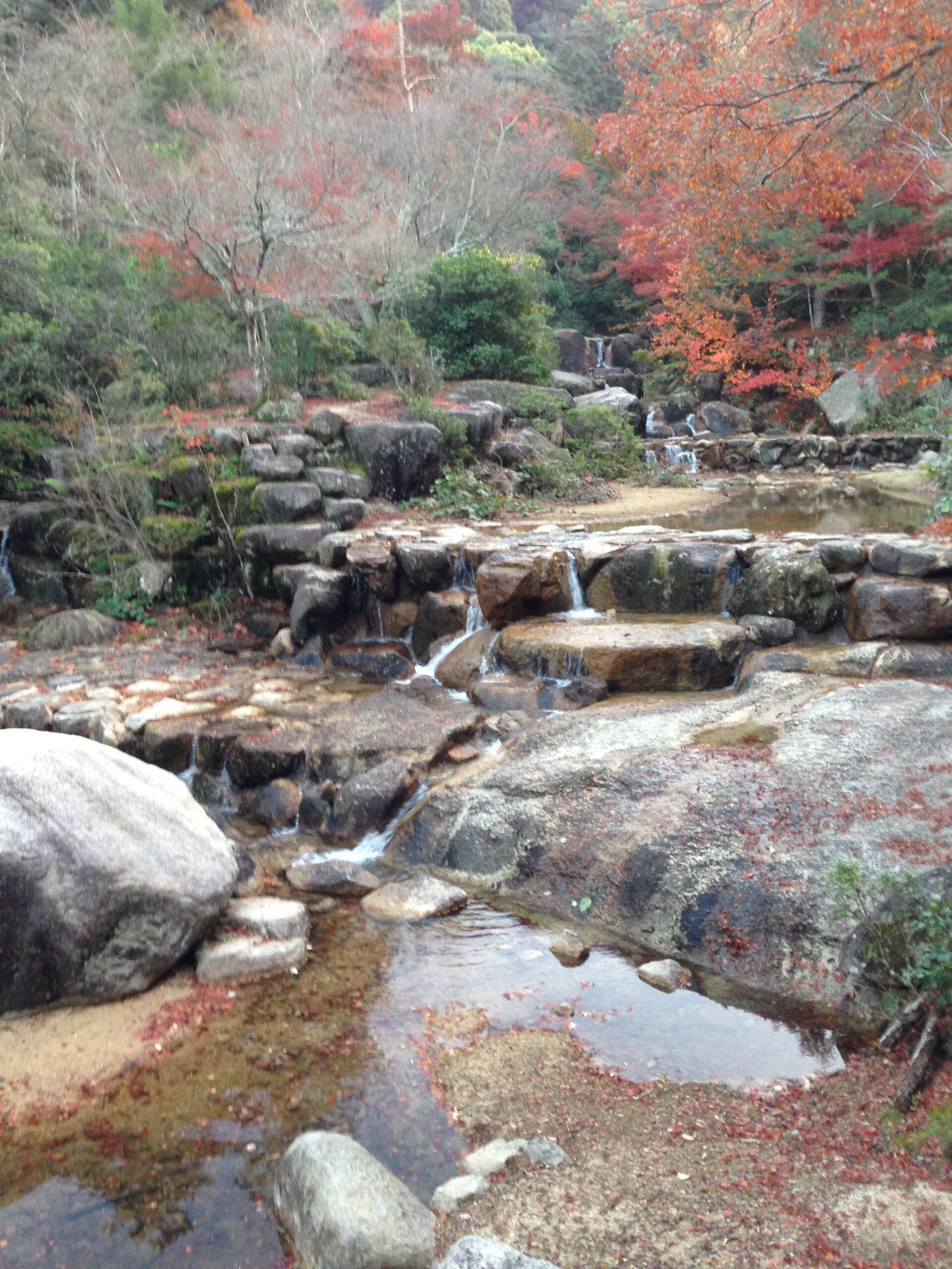 紅葉谷川の石組みの流路工と紅葉