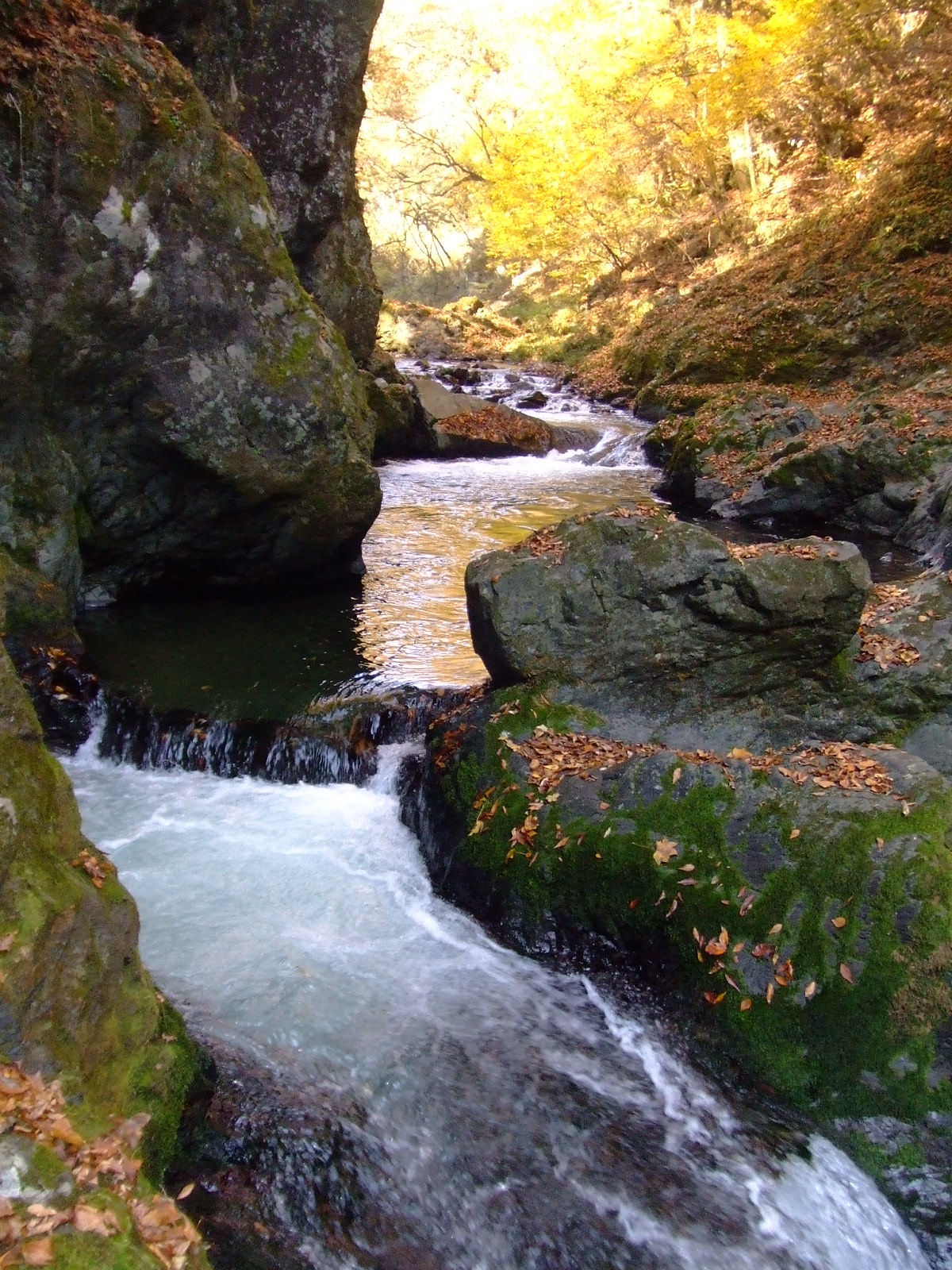 帝釈峡・断魚渓の渓流と紅葉
