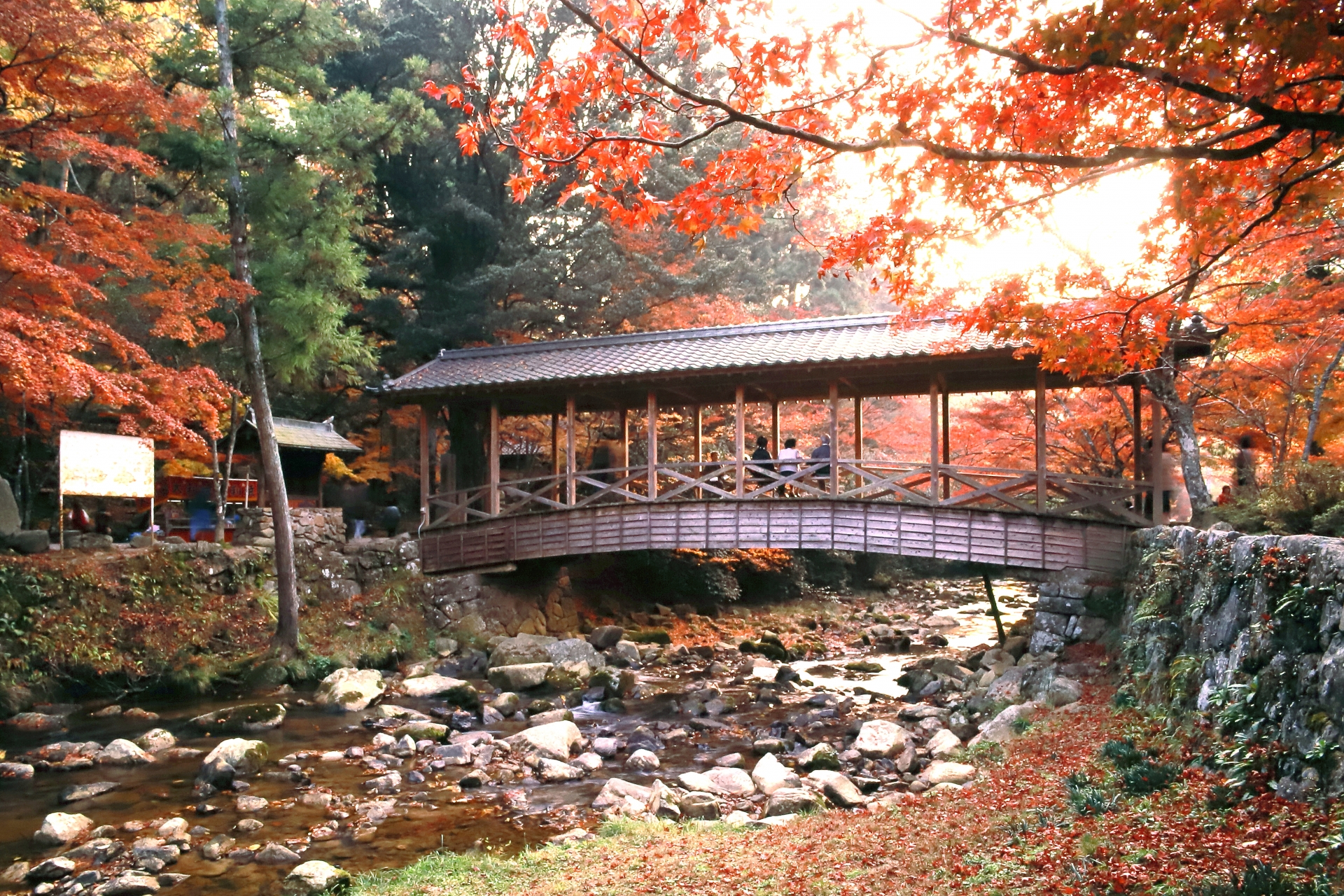 紅葉に囲まれた谷川と、屋根付きの橋（佛通寺）