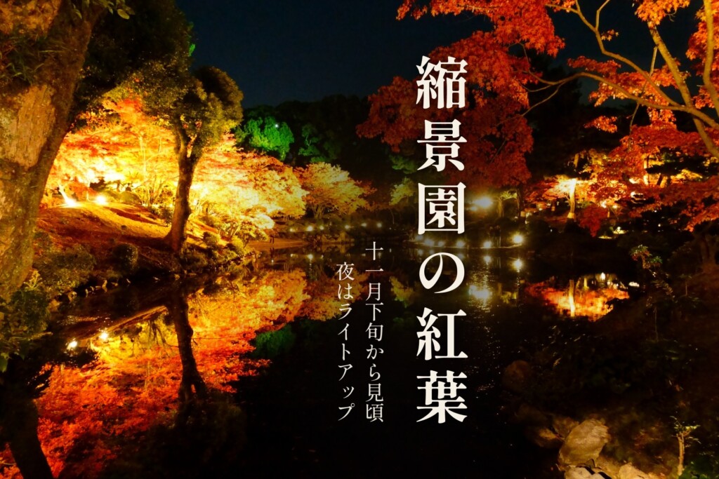 ライトアップされた紅葉が池に映る縮景園の夜景と「縮景園の紅葉」の題字